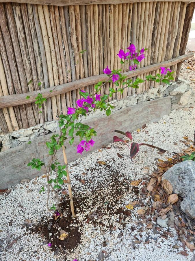 Aldea Yuyu Bed & Breakfast Tulum Exterior photo